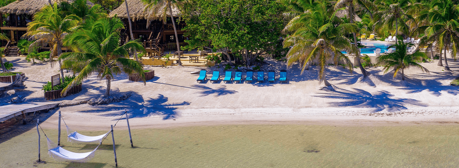 A tropical beach with palm trees, lounge chairs, and a hammock near clear water.