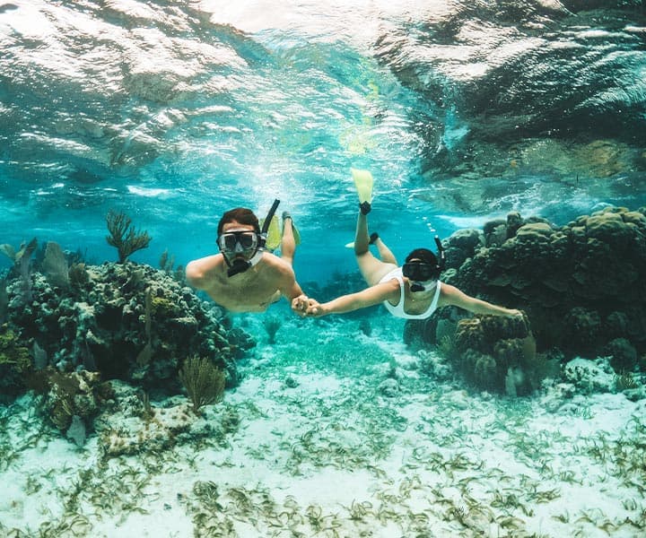 Two snorkelers underwater, holding hands amidst coral and seaweed.