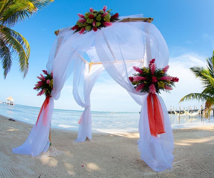 A picturesque beach wedding arch adorned with flowers and flowing white fabric.