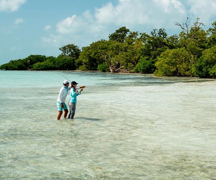 Two people fishing in shallow, clear water, surrounded by lush green mangroves under a bright blue sky. They appear focused and engaged.
