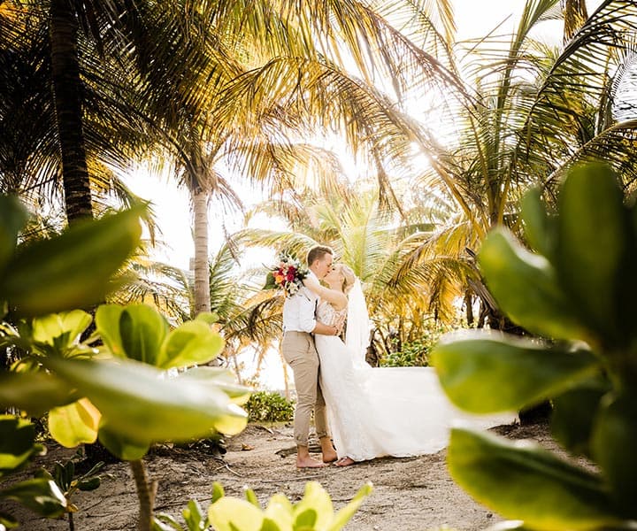 A couple embraces under palm trees during a beach wedding.