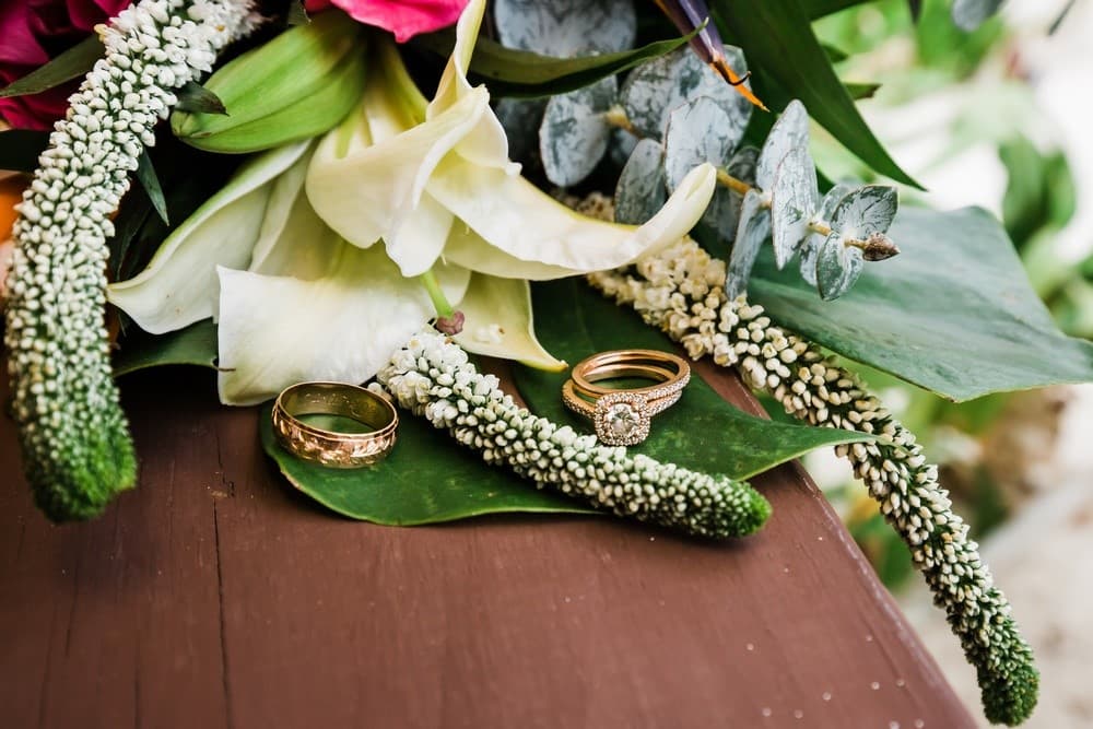 A pair of gold rings sits on lush green leaves, surrounded by delicate white flowers and vibrant petals, conveying a romantic and elegant tone.
