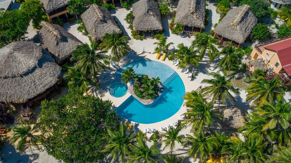Aerial view of a tropical resort featuring thatched-roof bungalows surrounding a circular swimming pool and lush palm trees.