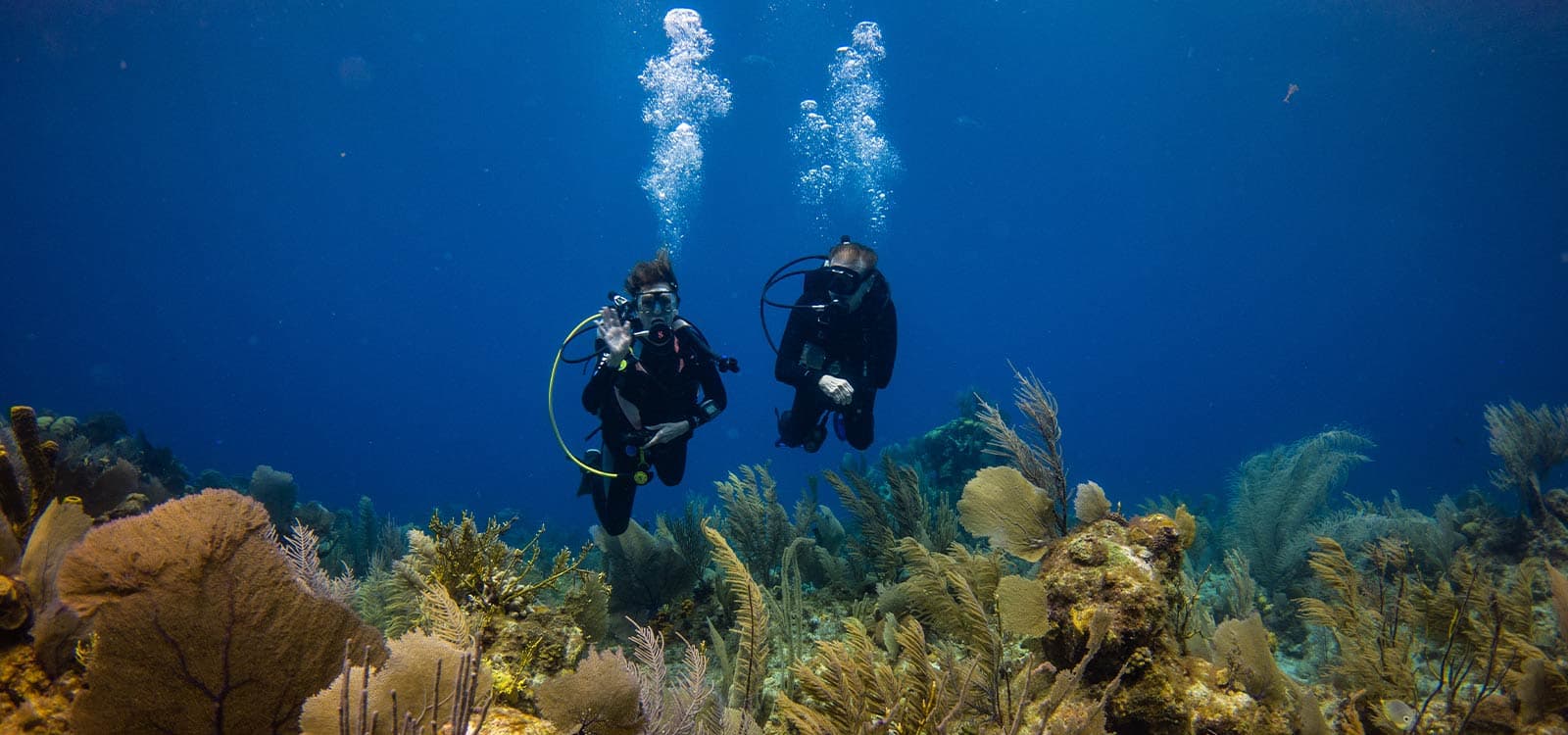 Two scuba divers explore a vibrant coral reef, surrounded by colorful marine plants, under clear blue water. Bubbles rise above them, conveying serenity.