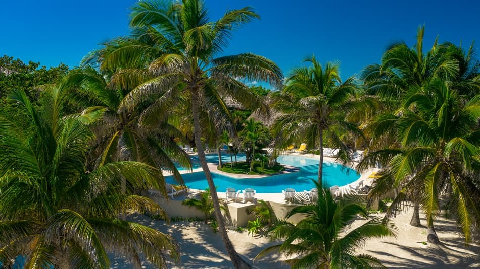 A serene pool surrounded by palm trees under a clear blue sky.