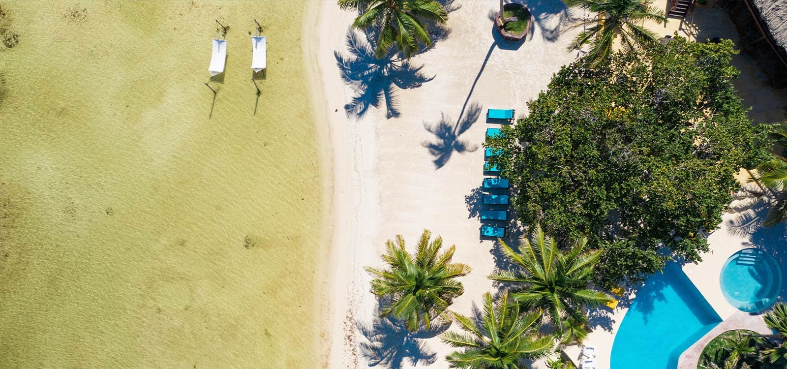 Overhead view of a tropical beach and pool area. Palm trees, sun loungers, and a clear blue pool create a tranquil, sunny atmosphere.