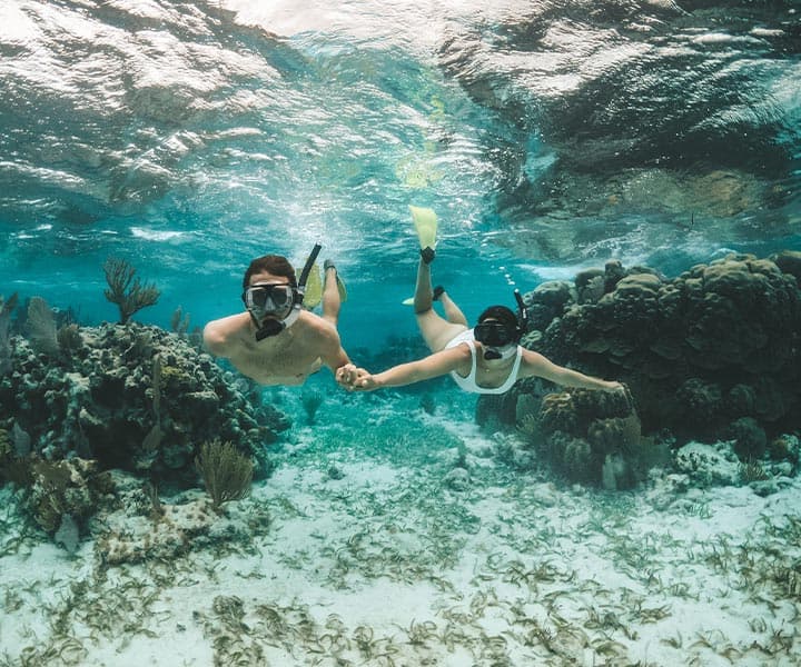 Two snorkelers explore underwater coral and seagrass while holding hands.