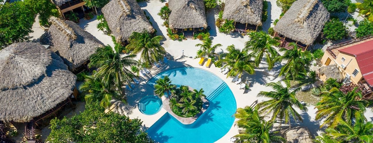 Aerial view of thatched-roof bungalows surrounding a circular pool and tropical foliage.