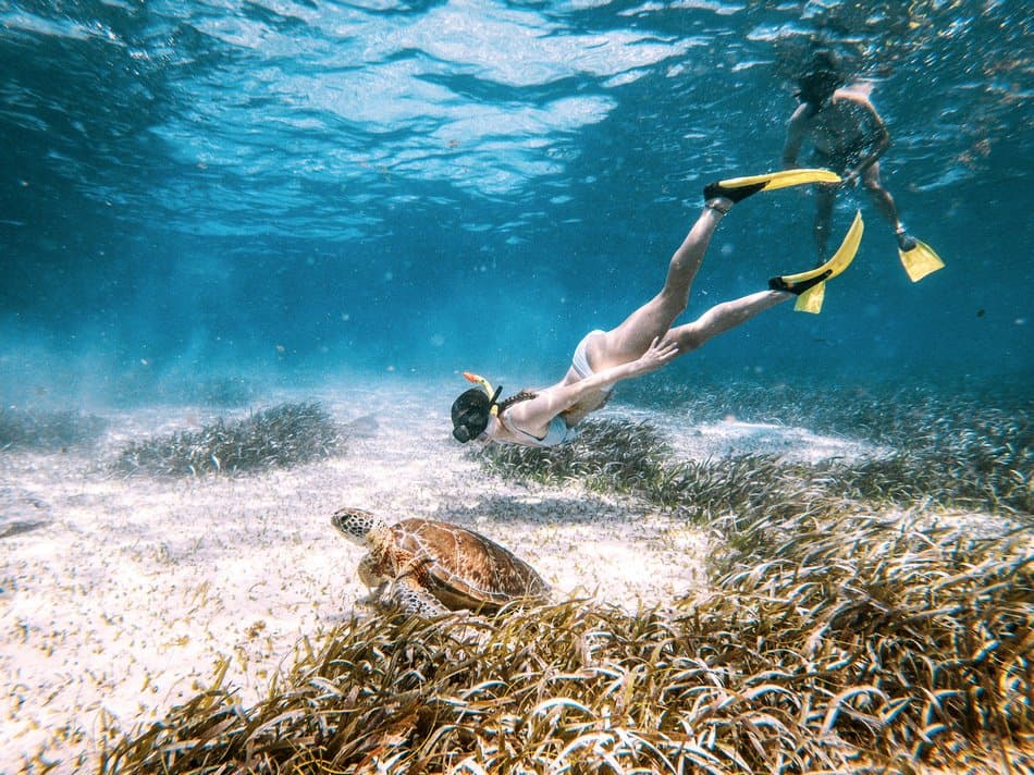 A snorkeler swims alongside a sea turtle in clear blue waters.