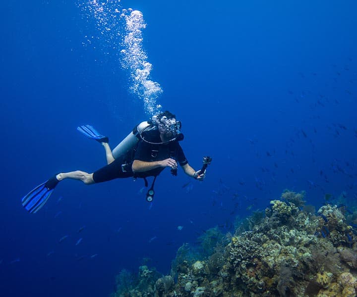A diver explores a coral reef while surrounded by schools of fish in clear blue water.