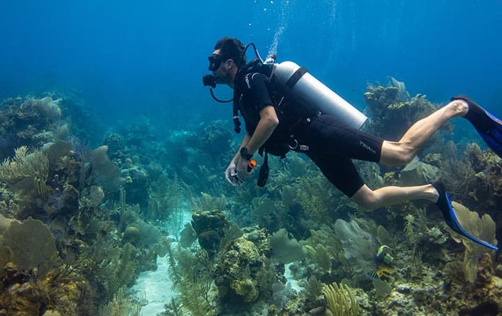 A scuba diver swims over a vibrant coral reef in clear blue water, surrounded by diverse marine life. The scene is peaceful and serene.